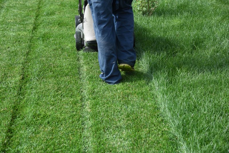 Unkempt Lawn Service