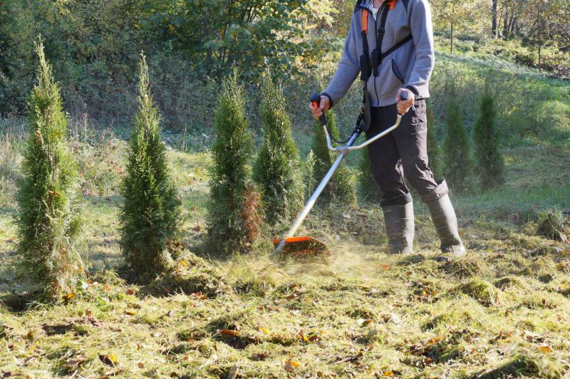 Brush Mowing Service in Waldorf, MD