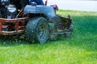 Bush Hog Mowing in Waldorf, MD
