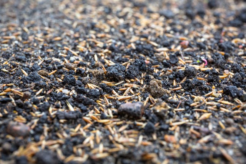 Commercial Grass Seeding in Honolulu, HI
