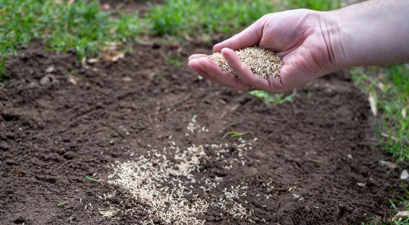 Commercial Lawn Seeding in Ventura County, CA