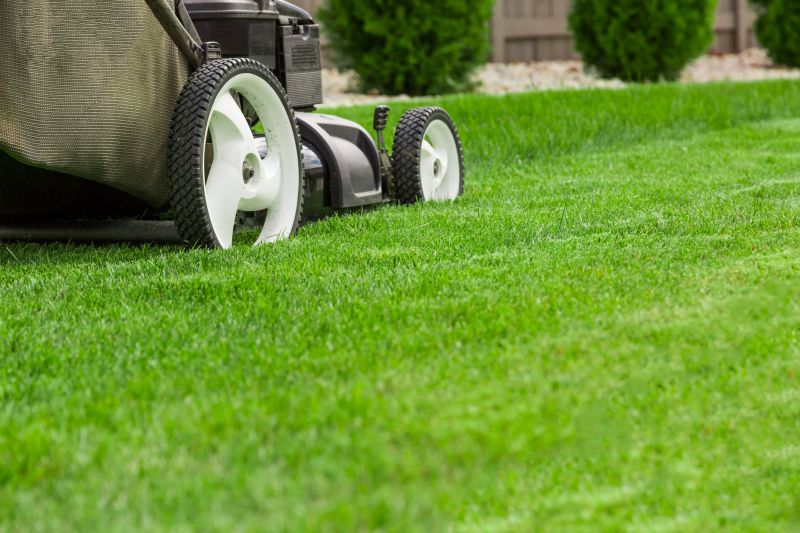 Lawn Management in Bowie, MD
