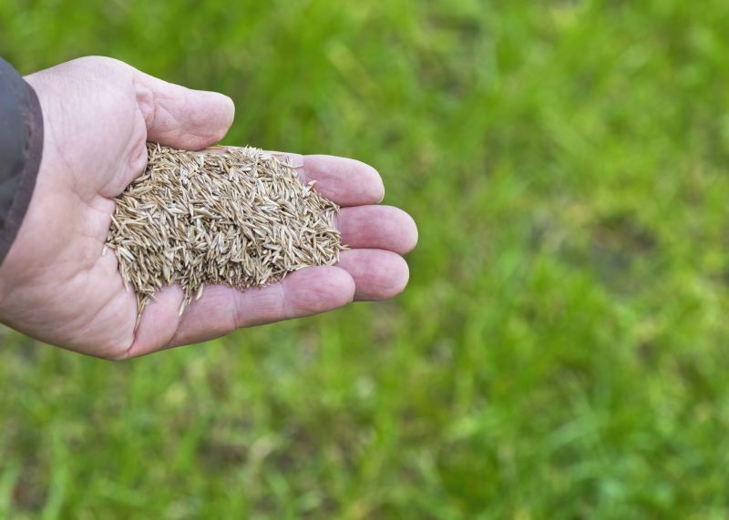 Lawn Seeding in Honolulu, HI