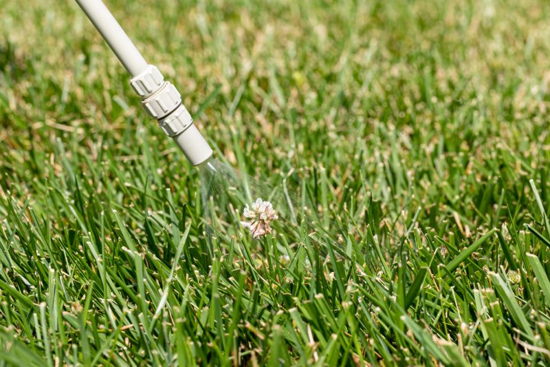 Lawn Weed Control in Aiken, SC