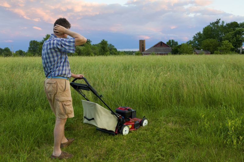 Spring Lawn Care in Bowie, MD